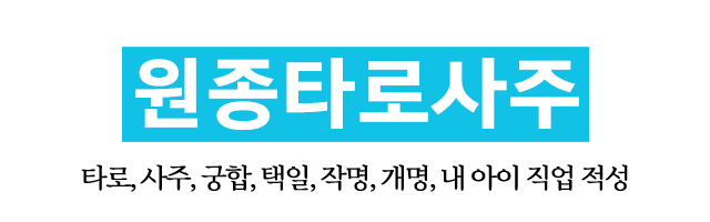 원종타로사주_로고 원종타로사주_로고